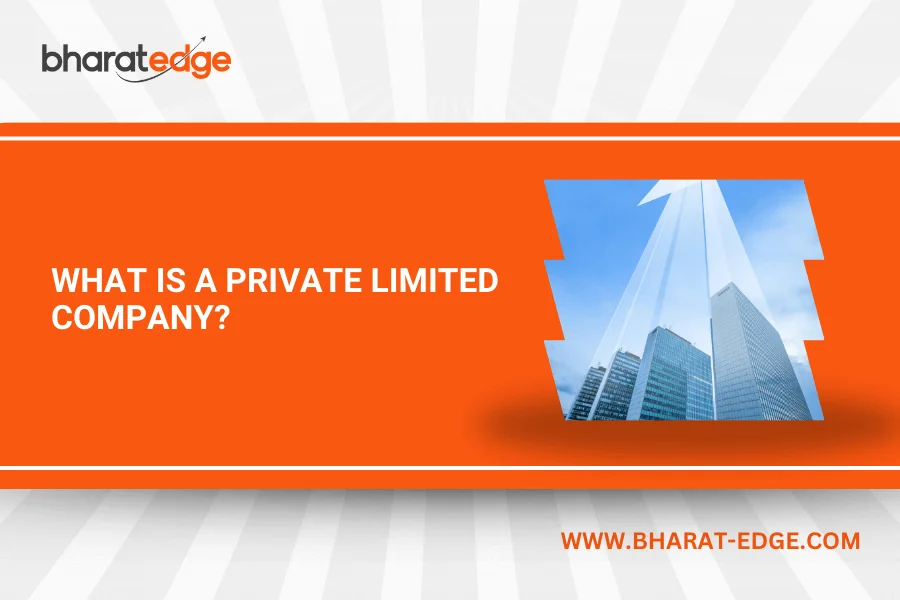 What is a Private Limited Company? A Complete Guide for Beginners